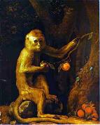 Green Monkey George Stubbs